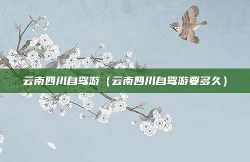 云南四川自驾游(云南四川自驾游要多久)
