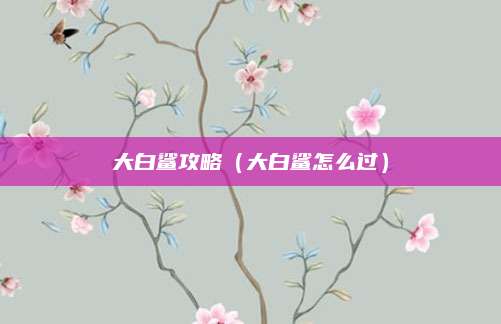 大白鲨攻略(大白鲨怎么过)