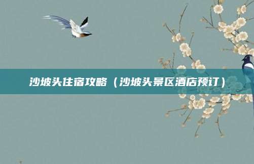 沙坡头住宿攻略（沙坡头景区酒店预订）
