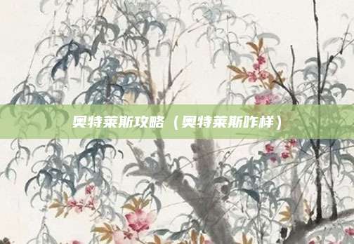 奥特莱斯攻略(奥特莱斯咋样)