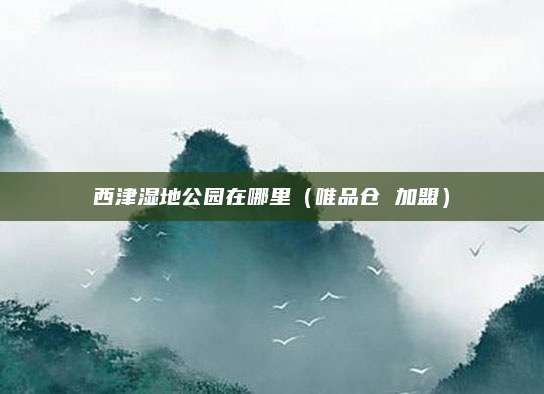 西津湿地公园在哪里(唯品仓 加盟)