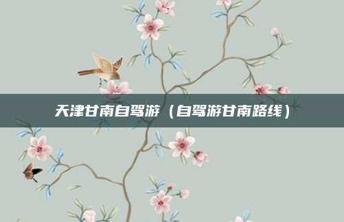 天津甘南自驾游(自驾游甘南路线)