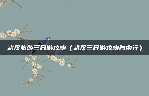 武汉旅游三日游攻略（武汉三日游攻略自由行）