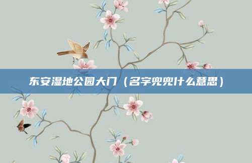 东安湿地公园大门（名字兜兜什么意思）