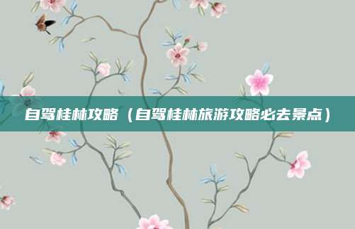 自驾桂林攻略(自驾桂林旅游攻略必去景点)