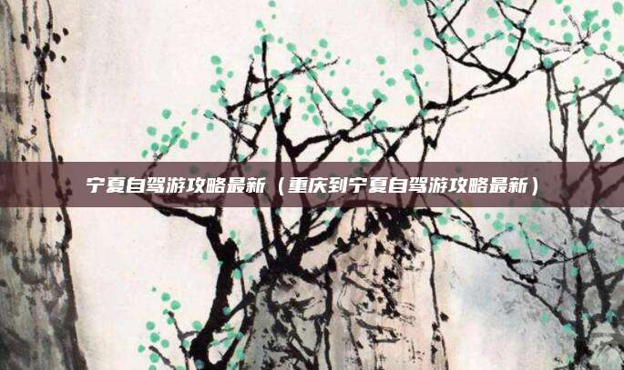 宁夏自驾游攻略最新(重庆到宁夏自驾游攻略最新)