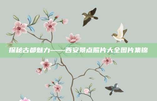 探秘古都魅力——西安景点照片大全图片集锦