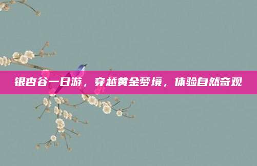 银杏谷一日游，穿越黄金梦境，体验自然奇观
