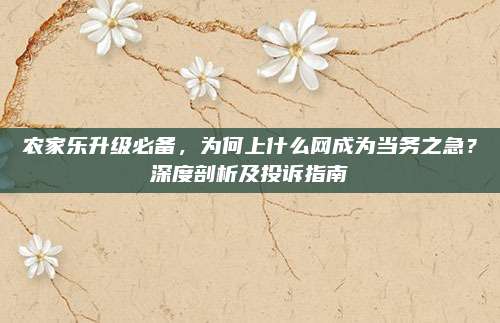 农家乐升级必备，为何上什么网成为当务之急？深度剖析及投诉指南