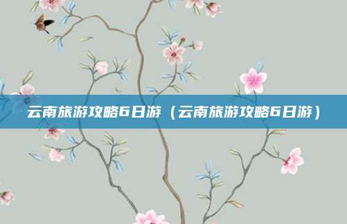 云南旅游攻略6日游(云南旅游攻略6日游)