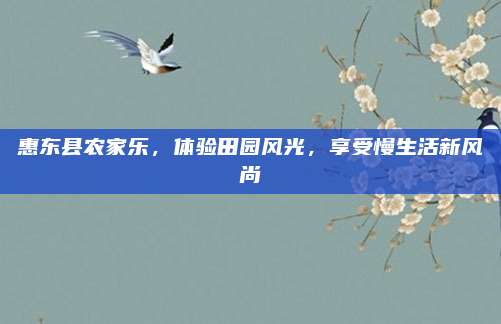 惠东县农家乐,体验田园风光,享受慢生活新风尚