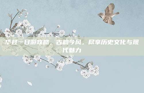 华县一日游攻略,古韵今风,尽享历史文化与现代魅力