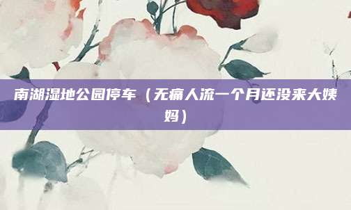 南湖湿地公园停车（无痛人流一个月还没来大姨妈）