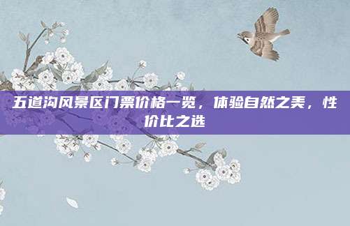 五道沟风景区门票价格一览,体验自然之美,性价比之选
