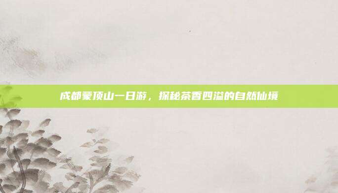 成都蒙顶山一日游,探秘茶香四溢的自然仙境
