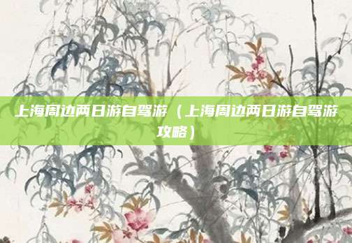 上海周边两日游自驾游(上海周边两日游自驾游攻略)