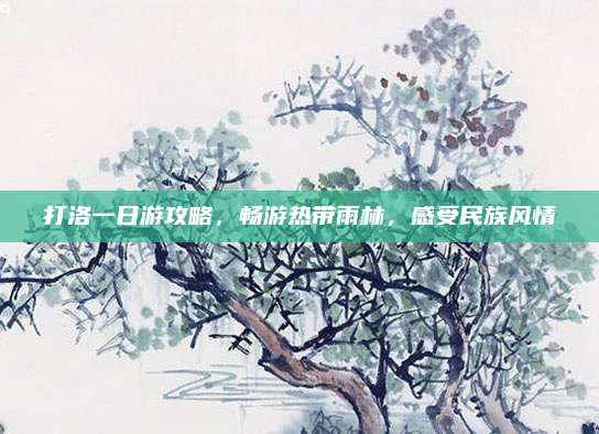 打洛一日游攻略,畅游热带雨林,感受民族风情