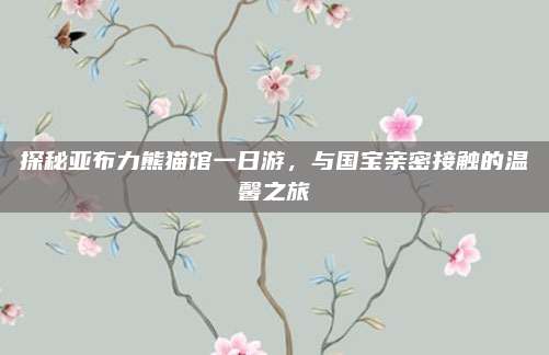 探秘亚布力熊猫馆一日游,与国宝亲密接触的温馨之旅