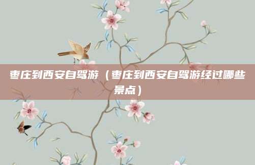 枣庄到西安自驾游(枣庄到西安自驾游经过哪些景点)