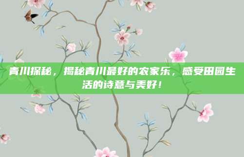 青川探秘,揭秘青川最好的农家乐,感受田园生活的诗意与美好!