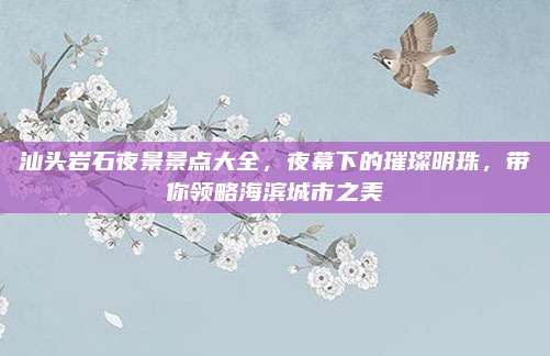 汕头岩石夜景景点大全，夜幕下的璀璨明珠，带你领略海滨城市之美