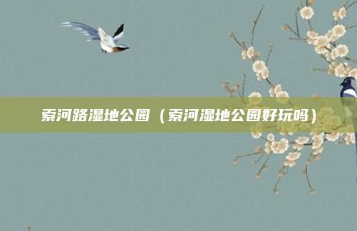 索河路湿地公园（索河湿地公园好玩吗）