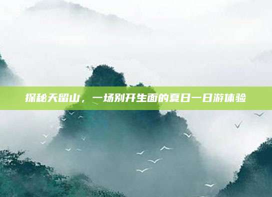 探秘天留山，一场别开生面的夏日一日游体验