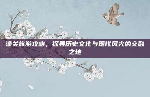 潼关旅游攻略,探寻历史文化与现代风光的交融之地