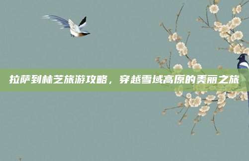 拉萨到林芝旅游攻略,穿越雪域高原的美丽之旅