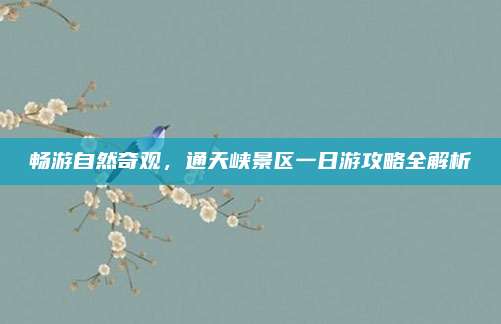 畅游自然奇观,通天峡景区一日游攻略全解析