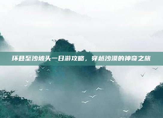 环县至沙坡头一日游攻略,穿越沙漠的神奇之旅