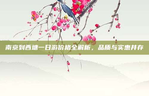 南京到西塘一日游价格全解析，品质与实惠并存
