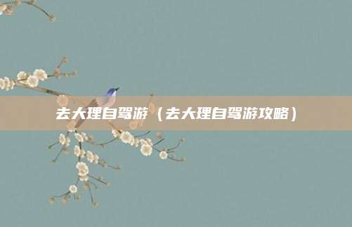 去大理自驾游(去大理自驾游攻略)