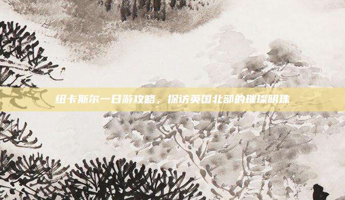 纽卡斯尔一日游攻略,探访英国北部的璀璨明珠