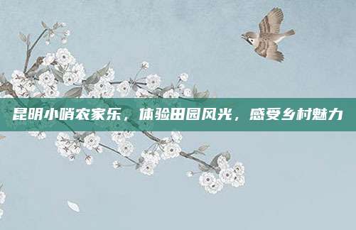 昆明小哨农家乐，体验田园风光，感受乡村魅力
