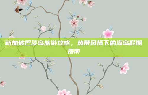新加坡巴淡岛旅游攻略，热带风情下的海岛假期指南