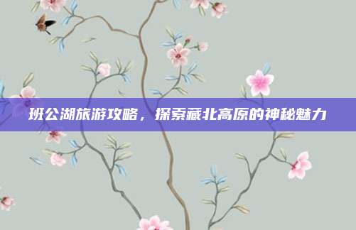 班公湖旅游攻略,探索藏北高原的神秘魅力
