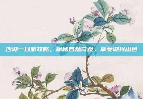 沙湖一日游攻略，探秘自然奇观，享受湖光山色