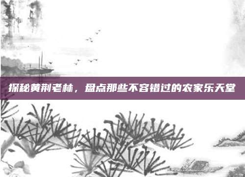 探秘黄荆老林,盘点那些不容错过的农家乐天堂