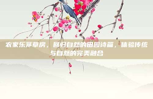 农家乐茅草房，回归自然的田园诗篇，体验传统与自然的完美融合