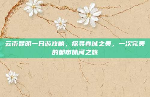 云南昆明一日游攻略,探寻春城之美,一次完美的都市休闲之旅