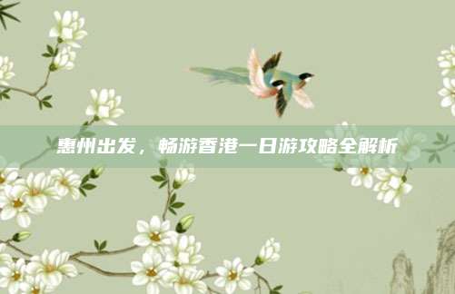 惠州出发,畅游香港一日游攻略全解析