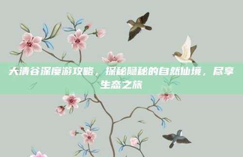 大清谷深度游攻略,探秘隐秘的自然仙境,尽享生态之旅