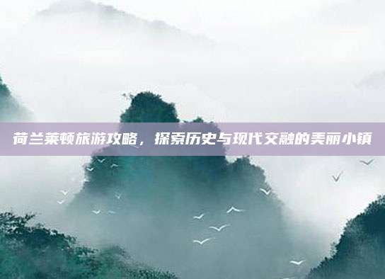 荷兰莱顿旅游攻略，探索历史与现代交融的美丽小镇