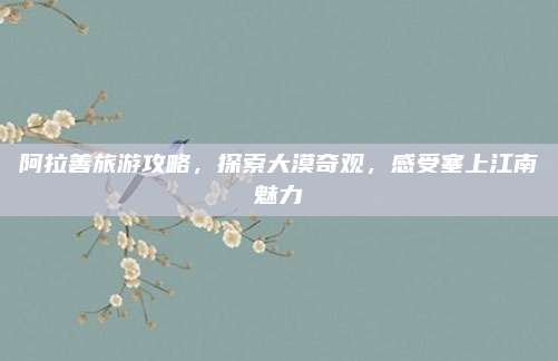 阿拉善旅游攻略，探索大漠奇观，感受塞上江南魅力