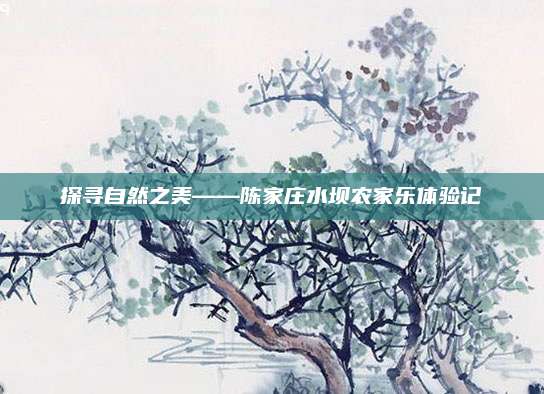探寻自然之美——陈家庄水坝农家乐体验记