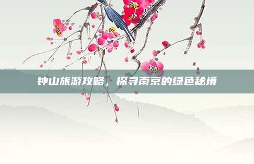 钟山旅游攻略,探寻南京的绿色秘境