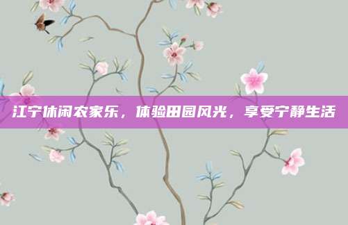 江宁休闲农家乐,体验田园风光,享受宁静生活