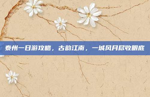 泰州一日游攻略,古韵江南,一城风月尽收眼底