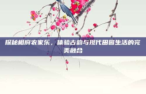 探秘相府农家乐，体验古韵与现代田园生活的完美融合